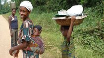 9 Day Ghana Wildlife and Culture Tour
