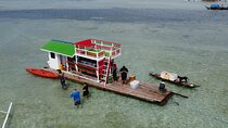 Island Hopping Experience: Snorkeling & Bamboo Cottages!