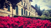 Wine Tasting Activity at Chianti Rufina
