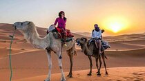  2 Days Desert Tour From Fes back to Fes 