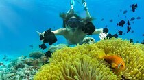Private Snorkeling Blue Lagoon Beach