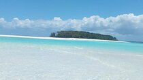 Half-Day Private Guided Mnemba Island Snorkeling Adventure