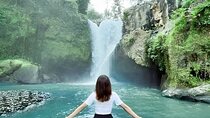 Ubud Day Tour: Sacred Monkey Forest, Tegenungan Waterfall, Rice Terrace
