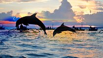Overnight Trip To Lovina 2 Days 1 Night Best Package