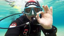 Discover Scuba Diving Experience in Nea Makri, Athens
