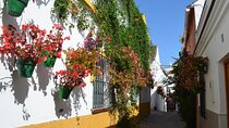 Historical Walking Tour of Estepona