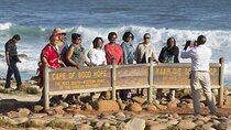 Cape Town Full-Day Cape of Good Hope, Penguins Small Group Tour