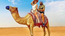 Half-Day Private Morning Desert Safari by 4x4 Car