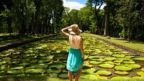 Half-Day Private Tour of North Mauritius with Pick Up