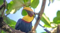 Cahuita National Park Hiking