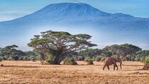 6-Days Masai Mara, Nakuru & Amboseli Group Safari on Landcruiser