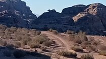 Petra Back-Road Trail and Hike