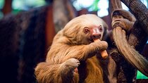 Luxury Private Tour with Transfer and Accommodation from Costa Rica 