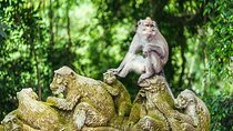 All-Inclusive Ubud Bali Private Full-Day Tour