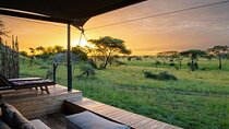6 Days best adventure kilimanjaro ,Tarangire ,Serengeti &Ngorongoro crater 