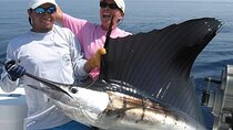 Deep Sea Fishing Half Day