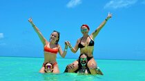 Full-Day Cruise to Saona Island - Natural pool and lunch