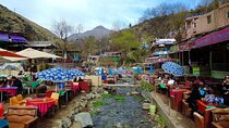 Day trip to Ourika Valley Atlas Mountains