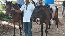 Private Horseback Riding From Falmouth 