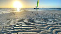 Half-Day Private Guided Sailing Adventure of Miami's Biscayne Bay