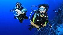 Intro Diving for Beginners in Hurghada with Pick-up and Lunch