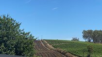 Full-Day VIP Hahndorf and McLaren Vale Private Car Tour