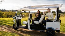 Siena E-Tuk Tuk panoramic Aperitivo with Local Snacks 