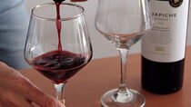 BA: Premium Argentinian Wines and Malbec Tasting in Palermo