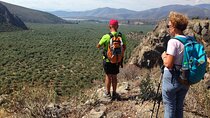 DELPHI Private Day Tour PLUS Hiking, BIking or Olive Tasting 