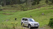 Half-Day Private Tour to Sete Cidades from Ponta Delgada