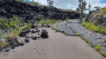 Private Tour of Hawaii Volcanoes National Park