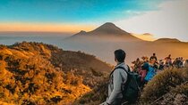Dieng Plateau with Sikunir Sunrise Full-Day Tour