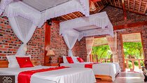 Ninh Binh 2 days 1 night in Homestay: Hoa Lu-Tam Coc- Bai Dinh-Trang An 