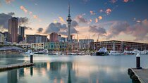 Full-day Auckland City & Rainforest Tour by Car