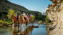 Ride Experience - Canyons & Mounts