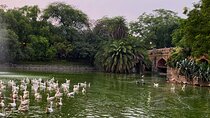 Heritage Delhi Private Walking & Shopping Tour