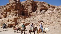 Private Camel, Horse or Donkey Ride in Luxor