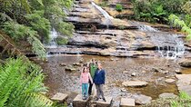 Blue Mountains | Koalas, Kangaroos & Bondi Beach Private Tour