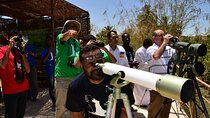 unique Bird Watching Tour in Aswan, discover more in Nile islands