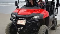 Side by Side Buggy Tour 4 the Beaches & forest