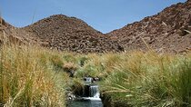 Puritama Hot Springs Tour with Tickets