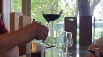 Douro Valley Tour Wine and breathtaking views