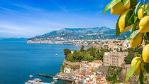 Half-Day Guided Sorrento Food and Limoncello Experience