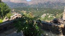 Explore the Secrets of Wine and Olives in Rethymno