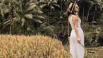 Wonderful of Ubud Tour - (Private & All-Inclusive)
