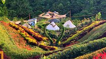 Evo Nature Camp & Adventure Tour in Cebu