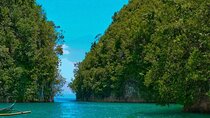 Hermit's Cove and Bojo River Eco Private Tour