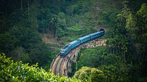 Tailor-made Multi-day Private Tour Packages in Sri Lanka