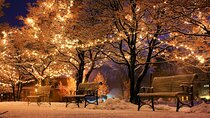 Christmas Gems of Budapest – Private Walking Tour