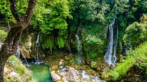 Discover Our Fields and Lake Full-Day Shared Tour from Nice